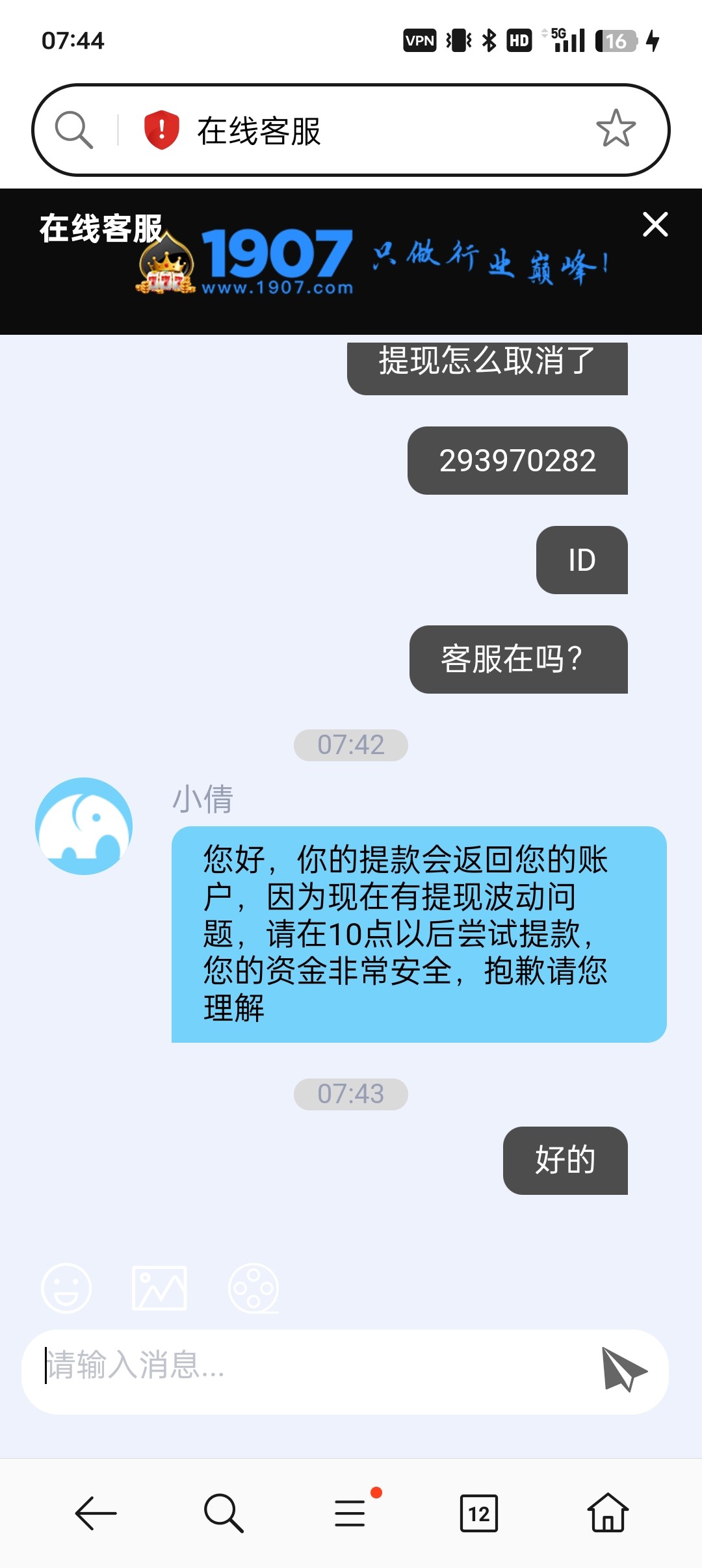 12242_XFK7DW6X8H3H33V.jpg